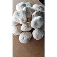 ราคา ลูกแป้งสาโท 5 ลูก 20 บาท (8382833687)