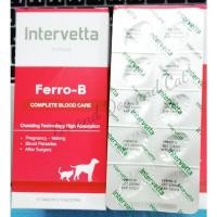 ราคา Dr.Choice Ferro B (Intervetta)วิตามินบำรุงเลือด ขนาด1แผง(10เม็ด) และ1กล่อง(100เม็ด) (14894233355)