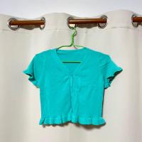 ราคา ครอปไหมพรมกระดุมหน้า สีเขียวมิ้น ผ้ายืด เสื้อครอปสีเขียว (10306398843)
