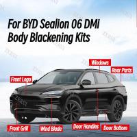 ราคา ZR สําหรับ BYD Sealion 06 Body Blackening / คาร์บอนไฟเบอร์ชุดเลียนแบบคอลเลกชัน 3M กาวติดตั้ง (28833545096)