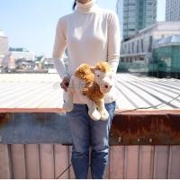 ราคา ตุ๊กตา อูฐ 14นิ้ว Anee Park อานี ปาร์ค (6177033047)