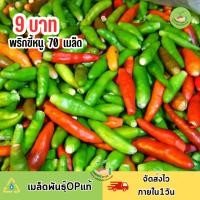 ราคา 9บาท พริกขี้หนูสวน 70เมล็ด (27521209072)