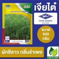 ราคา เมล็ดพันธุ์ เจียไต๋ BIG ผักชีลาว กลิ่นรำเพย ขนาด 500 กรัม (25525123413)