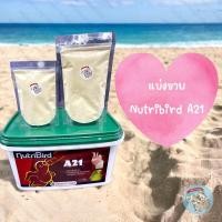 ราคา ( นูทรีเบิร์ด A21 ) Nutribird A21 แบ่งขาย อาหารนกลูกป้อน อาหารนก อาหารลูกป้อน อาหารป้อนลูกนก นกแก้ว นกสายพันธุ์ นก ลูกนก (8759099539)