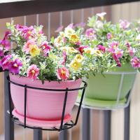 ราคา ที่แขวนกระถางต้นไม้ ชั้นวางกระถางแบบเหล็ก กระถางดอกไม้เหล็กดัด แบบแขวน Simple Living (16822316462)