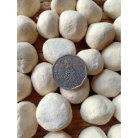 ราคา ลูกแป้งข้าวหมากสูตรโบราณ 100 ลูก 1 ลูก/ข้าวเหนียวดิบ 1.2-1.3 ก.ก. (9371131591)