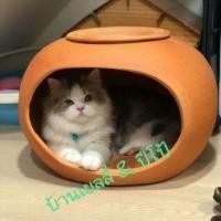 ราคา (พร้อมส่ง)​ โอ่งแมวดินเผา หมาตัวเล็ก ไซต์ 17 - 18 นิ้ว (7110996026)