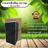 ราคา ถาดเพาะสี่เหลี่ยม 200 หลุม ลัง (100 ชิ้น) ถาดเพาะต้นกล้า ถาดเพาะเมล็ดพันธุ์ ขนาด 200 หลุม allaboutplants (4022898402)