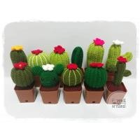 ราคา กระบองเพชร cactus กระบองเพชรไหมพรม กระบองเพชรปลอม (1884176830)