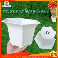 ราคา พร้อมส่งกระถางหกเหลี่ยม 9 นิ้ว สีขาว กระถางต้นไม้ กระถาง9นิ้ว กระถางปลูกต้นไม้ กระถางใส่ต้นไม้ กระถางพลาสติก กระถาง (14303589371)