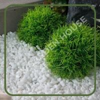 ราคา Ok Garden House กรวดขาวหิมะ (25063779150)