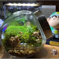 ราคา ขายดีวันเดียวถึง รับประกันแตก โหลแก้วทรงกลมเอียง ขนาดใหญ่ จัดสวน terrarium เลี้ยงปลา ใส่เครื่องเทศ โถหมักดอง (18936789189)
