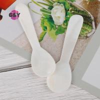 ราคา G&Y Pearl Sea Shell Hand craft Mother of Pearl caviar Spoon ช้อนกาแฟชาจิ๋ว COD (44368726636)