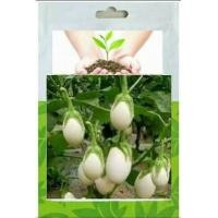 ราคา มะเขือไข่เต่าขาว ไข่นก 200เมล็ด ปลูกง่ายขยายพันธุ์ต่อได้ กรอบ อร่อย (5058003891)