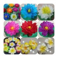 ราคา ส่งไว.ขายถูก.ดอกบัวลอยน้ำ.ดอกบัวปลอม.ลีลาวดีลอยน้ำ.ลีลาวดีปลอม (8644367814)