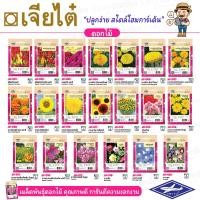 ราคา เจียไต๋ ผักซอง เมล็ดพันธุ์ผัก (สายพันธุ์เมล็ดพันธุ์ดอกไม้) ดอก สร้อยไก่คละสี สร้อยไก่ต้นเตี้ยคละสี หงอนไก่คละสี (8773259204)