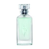 ราคา 3ขวด MINISO น้ำหอมผู้หญิง น้ำหอม รุ่น Green Tea Classic 30ML Green Tea (24013958679)