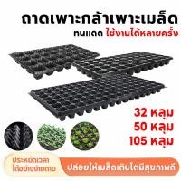 ราคา ถาดเพาะกล้า ถาดเพาะเมล็ด ถาดเพาะเมล็ด ถาดเพาะเมล็ด เมล็ดไฮโดรโปนิกส์ 32/50/105 รู ฟองน้ำ คีม ไม้โอ๊คเขียว (43063798547)