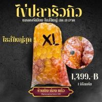 ราคา ไข่ปลาริวกิวสดไซส์ XL ใหม่ สด สะอาด เม็ดโตมาก ถุงใหญ่ 1 กิโลกรัม (21316666090)
