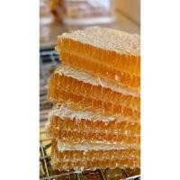 ราคา รังผึ้ง รวงผึ้ง Honeycomb คุ้มมาก! ออแกนิค แท้100% รังผึ้งสด รังผึ้งแท้ รวงผึ้งแท้ รวงผึ้ง Sizeใหญ่ 420กรัม (15534410057)
