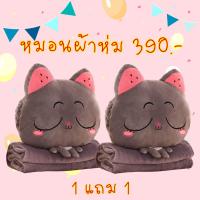 ราคา PRO 1 แถม 1 หมอนผ้าห่ม Cutie แมวสีเทาหลับตา (1727962616)