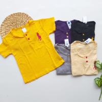 ราคา เสื้อโปโลสําหรับเด็กชาย 4 5 6 ขวบ | เสื้อยืดกระดุมเด็กผู้ชาย (25237500291)