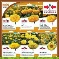 ราคา เมล็ดพันธุ์ดอกไม้ กลุ่มดาวเรือง ดอกทานตะวัน (แบบซอง) เมล็ดดอกดาวเรือง ดอกทานตะวัน ดอกบานชื่น เมล็ดพันธุ์ดอกไม้ ตราศรแดง (3135891708)