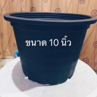 ราคา กระถางต้นไม้ ขนาด 10 นิ้ว กระถางพลาสติกกลมสีดำ (รบกวนสั่งซื้อขั้นต่ำ 5 ใบค่ะ) (3936520326)
