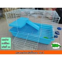 ราคา กรงกระต่าย​ 2​ ชั้นพร้อมอุปกรณ์​ฟรี ถ้วยอาหาร​ ขวดน้ำ​ T4-3​ กรงสัตว์เลี้ยง กรงกระต่าย กรงแกสบี้ (3279483734)