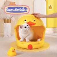 ราคา ที่นอนสัตว์เลี้ยง ที่นอนน้องแมว ที่นอนน้องหมา ทาสแมว เจ้านาย หมา แมว (19453699765)