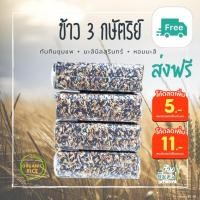 ราคา ข้าว 3 กษัตริย์ (หอมมะลิ ทับทิมชุมแพ ไรซ์เบอร์รี่) ✅พร้อมส่ง ขนาด 1 กิโลกรัม (15219505148)
