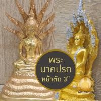 ราคา พระนาคปรก หน้าตัก 3" เนื้อทองเหลือง เนื้อเรซิ่น งานละเอียด พิมพ์สวย ประณีตมาก ควรค่าแก่การบูชา พระประจำวันเสาร์ (29451566867)