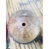 ราคา กะลาตาเดียว พร้อมพาน (42404245005)