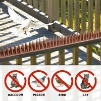ราคา GVQB หนามไล่นกพิราบ 12ชิ้น หนามกันนก หนามกันนกเกาะ หนามไล่นก ไล่นกพิราบ Anti Bird Spike Repellent ป้องกันนกเกาะ (41162512602)