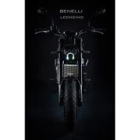 ราคา Leon การ์ดหม้อน้ำ รุ่น Originale สำหรับ BENELLI LEONCINO 500 SILVER (28001601810)