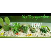 ราคา รับจัดสวนถาด สวนขวดจิ๋ว ต้นไม้มงคล ต้นไม้ฟอกอากาศหลากหลายชนิด (7457650107)