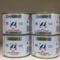 ราคา อาหารสัตว์ป่วย Royal Canin Recovery จำนวน 4 กระป๋อง (2564732583)