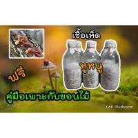 ราคา เชื้อเห็ดหูหนู ชุด 10 ขวด ฟรีคู่มือเพาะเห็ดกับขอนไม้ (12808479357)