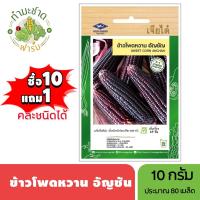 ราคา เมล็ดพันธุ์ ข้าวโพดหวาน อัญชัน เจียไต๋ ประมาณ 80 เมล็ด ข้าวโพดหวานทานสด (2262409193)