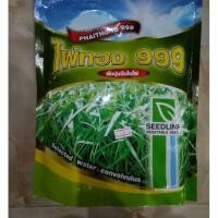 ราคา ไผ่ทอง999(ขนาด1กิโลกรัม)ตราซีดไลน์ เมล็ดผักบุ้งจีน ผักบุ้ง งอกดี โตไว (5519603116)