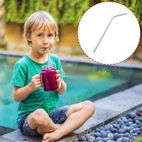 ราคา Stainless Steel Reusable Drinking Straw Straight Bent Design For Cold Beverages (42613779775)