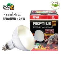 ราคา Lucky herp หลอดไฟ รวม UVA UVB ในหลอดเดียวกัน 125W (3010244152)
