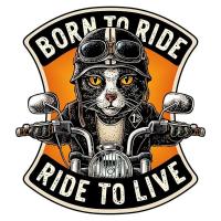 ราคา สติกเกอร์ กันน้ํา ลายแมวขี่จักรยานยนต์ แบบสร้างสรรค์ สําหรับติดตกแต่งรถยนต์ รถจักรยานยนต์ Harley (21490613604)