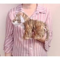 ราคา ตุ๊กตาเสือ เท้าถ่วง Ganz Tiger Plush ขนาด 9 นิ้ว ( ไม่รวมหาง ) ป้าย Ganz (17489234136)