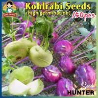 ราคา เมล็ดพันธุ์ กะหล่ำปมสีเขียว เมล็ดกะหล่ำปม โคราบี้ บรรจุ 150 เมล็ด Turnip Cabbage Kohlrabi Vegetable Seeds เมล็ดพันธุ์ผัก (27633611017)