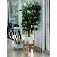 ราคา ต้นส้มปลอม ส้มจี๊ดประดิษฐ์ ไม้มงคล ส้มลูกดก สูง 100 ซมพร้อมส่งจร้า กดสั่งได้เลยค่ะ. (27303906589)