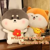 ราคา ตุ๊กตาหมา ชิบะ ไซบีเรียนฮัสกี้ น่ารัก นุ่มนิ่ม น่ากอด (12207408265)