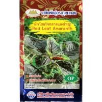 ราคา เมล็ดผักโขม ใจกลางแดงใหญ่ Red Leaf Amaranth MT/OP-055 เมล็ดพันธุ์ผักโขม เมล็ดพันธุ์ผัก ตราภูเขาทอง (17696160585)