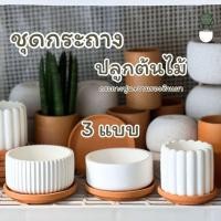 ราคา ชุดกระถางต้นไม้ กระถางปูนสีขาว+จานรองดินเผา มี 2 ขนาด กระถาง3นิ้วและ4นิ้ว (44321033987)