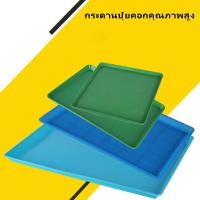 ราคา ถาดพลาสติกสีฟ้า ฟิล์มพลาสติกรองถาดกรงสัตว์เลี้ยง สวยรองกรงสัตว์เลี้ยง กรงนก ถาดพลาสติก ถาดรอง ทนทาน (28839401124)